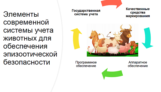 ГК «Силтэк» обозначила проблемы идентификации и учета животных в России